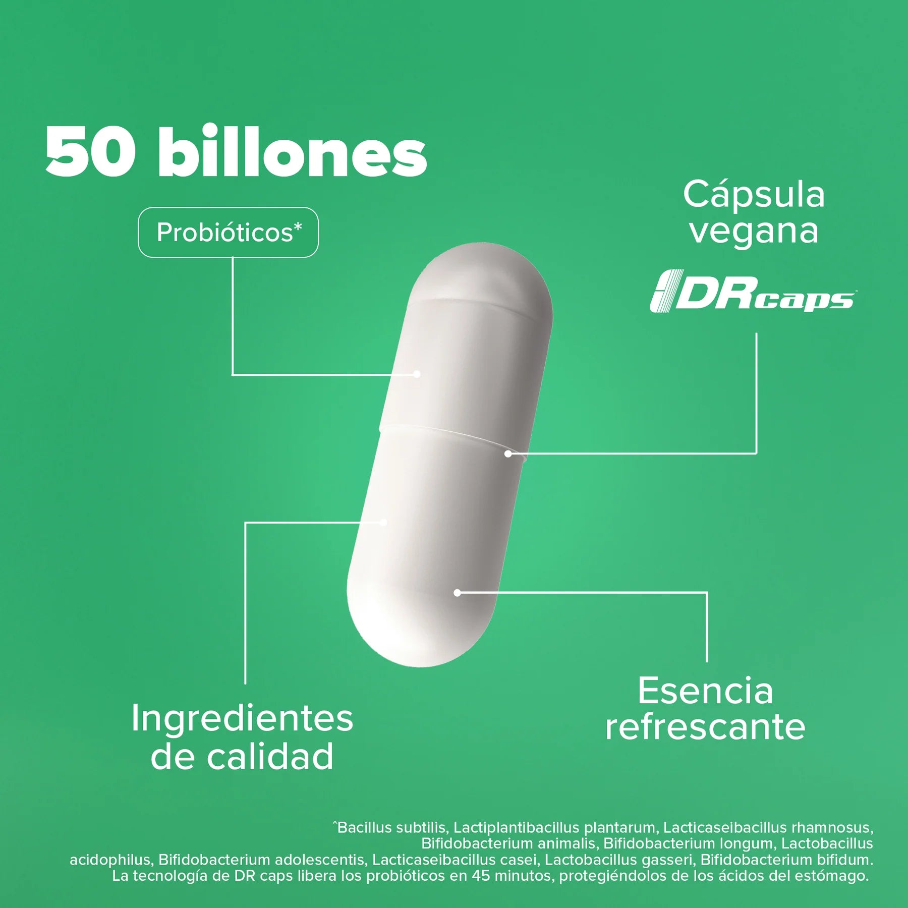 Premium All-In-One Probiotic - Probióticos con 50 Billones de UFC - 120 Cápsulas - 120 Porciones