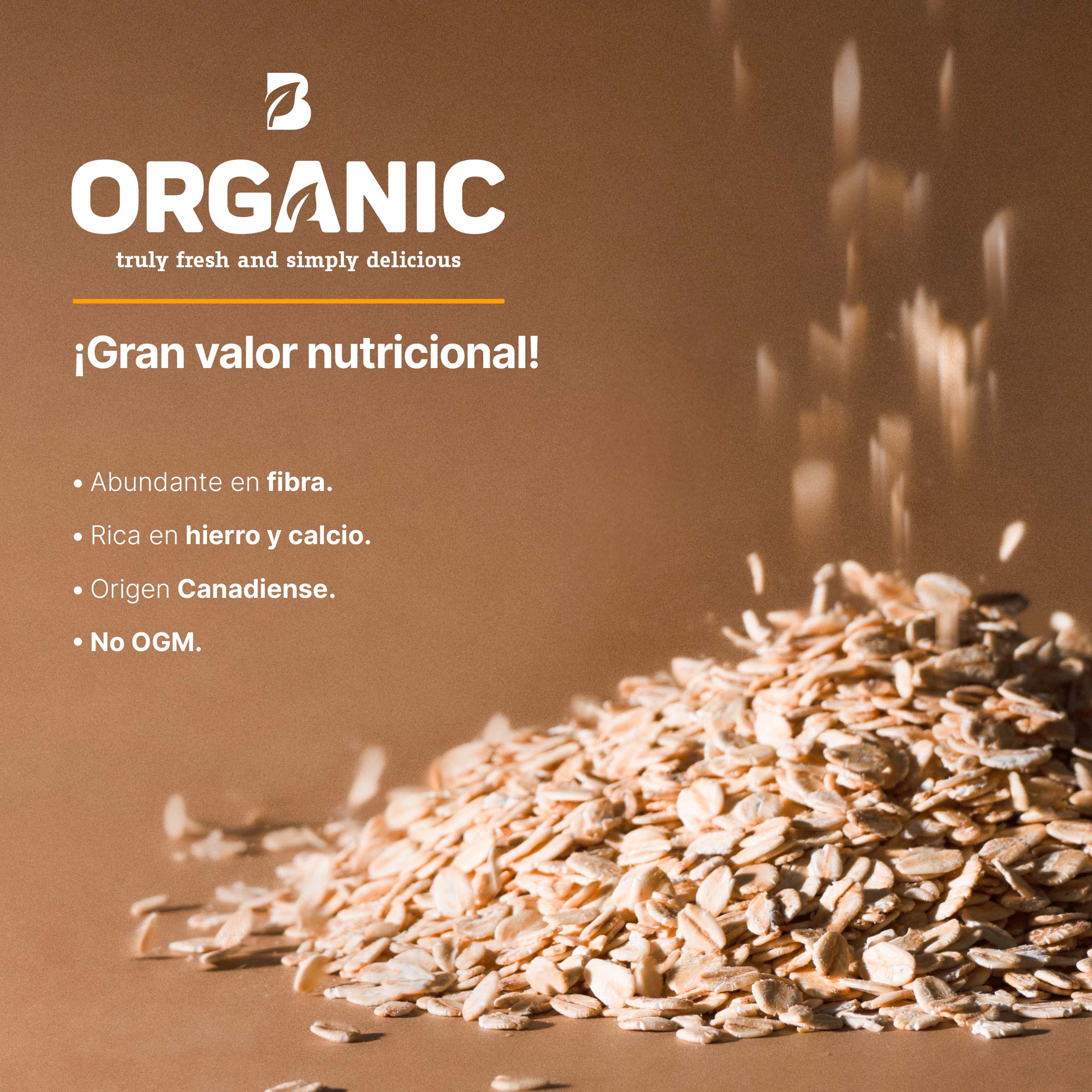 Avena Orgánica 2 Kg