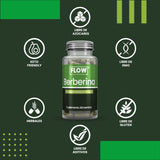 Berberina / 90 cápsulas de 500 mg c/u