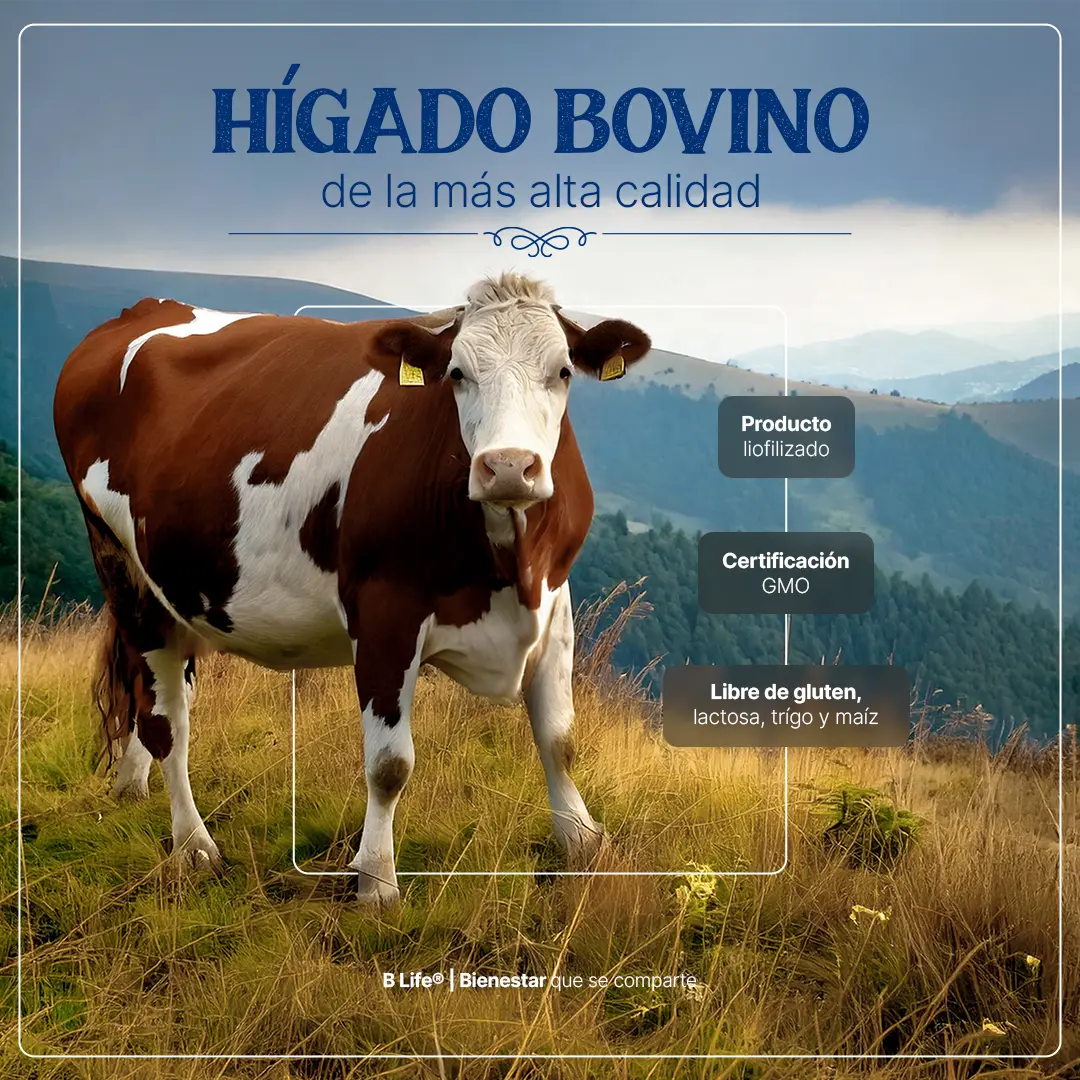 Beef Liver Grassfed | Hígado vacuno